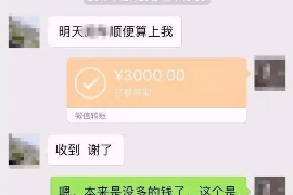 薛城为什么选择专业追讨公司来处理您的债务纠纷？